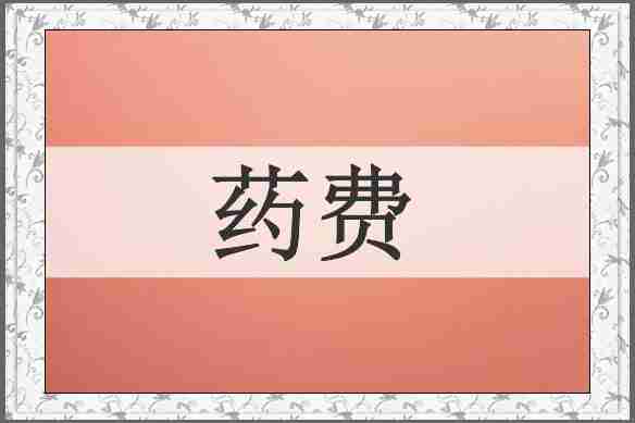 药费