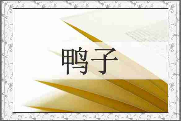 鸭子