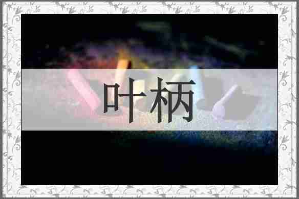 叶柄