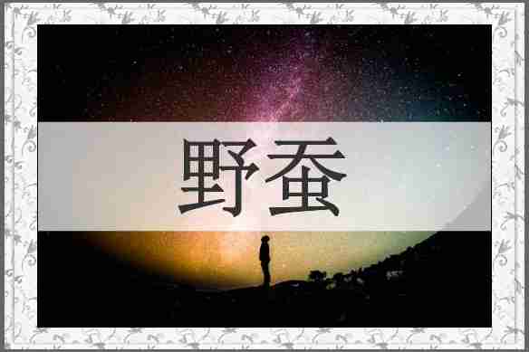 野蚕