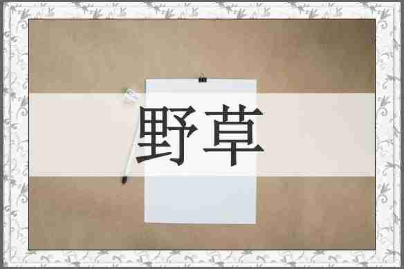 野草
