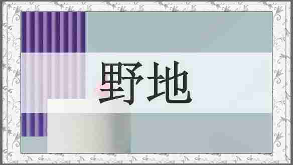 野地