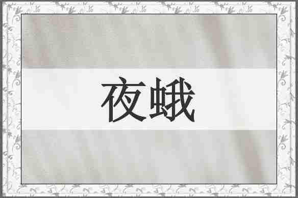 夜蛾