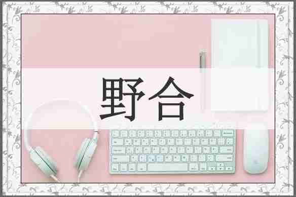 野合