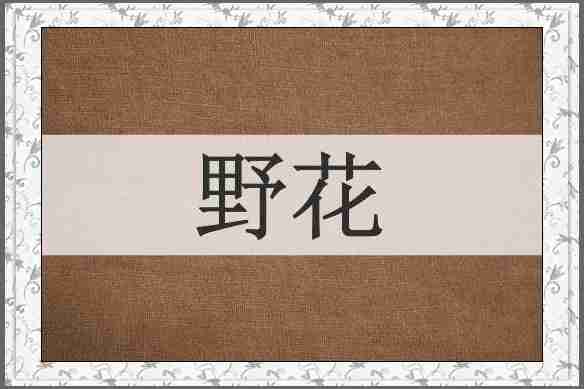 野花