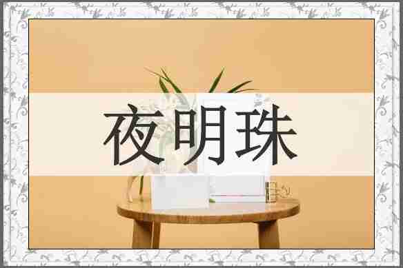 夜明珠