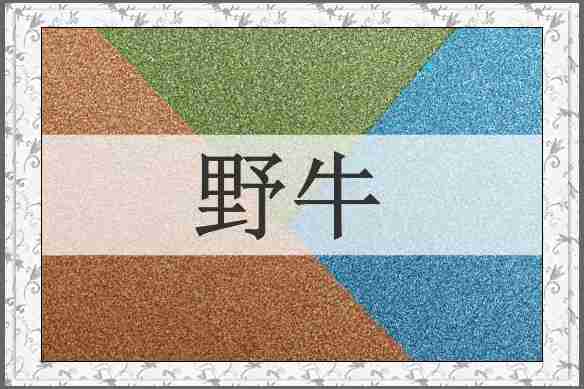 野牛