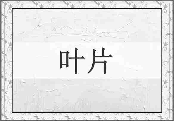 叶片