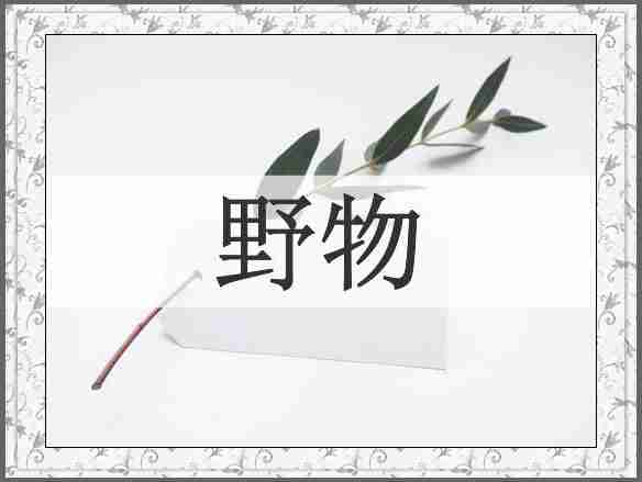 野物