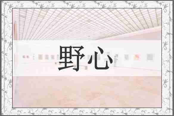野心