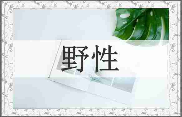 野性