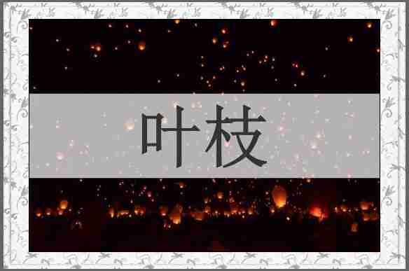 叶枝