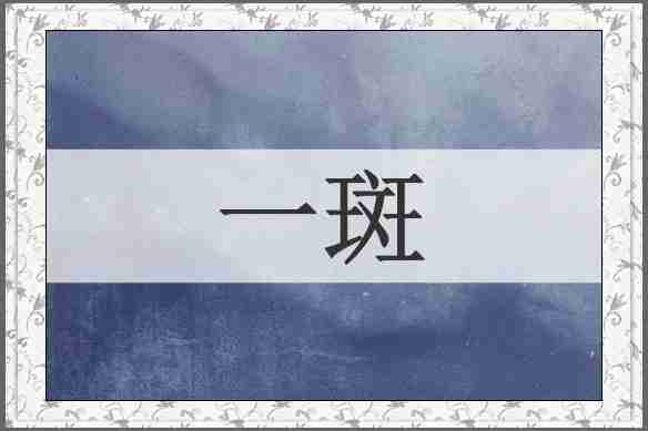 一斑