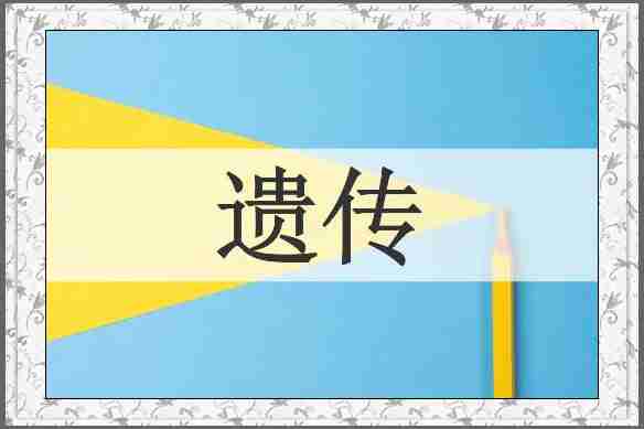 遗传