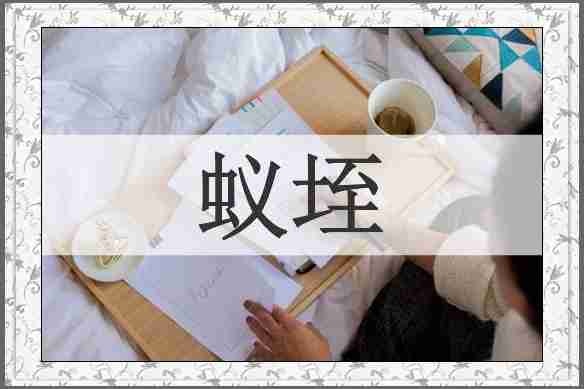蚁垤