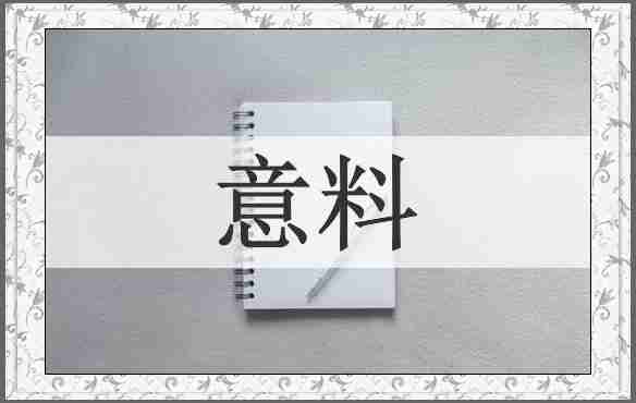 意料
