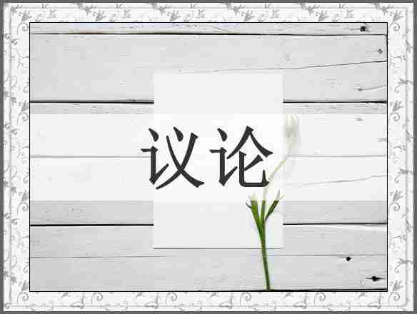 议论