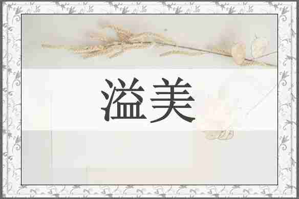 溢美
