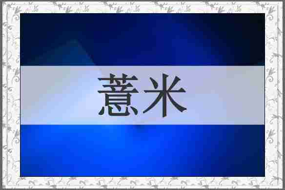 薏米