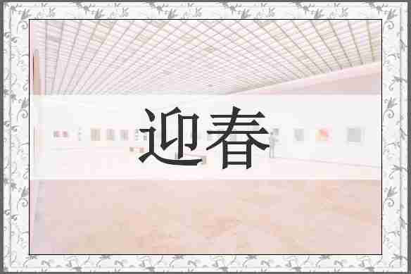 迎春