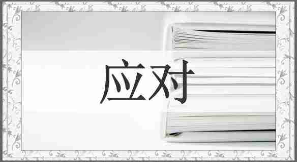 应对