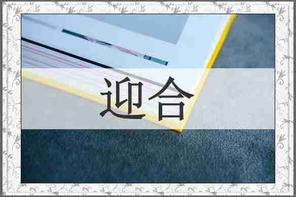 迎合