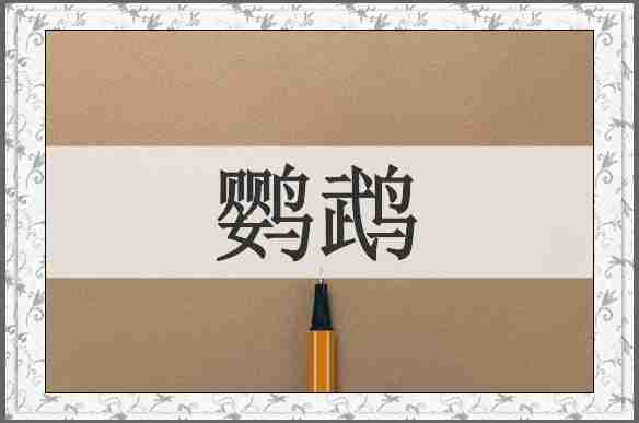 鹦鹉