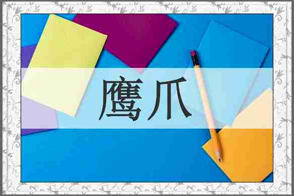 鹰爪