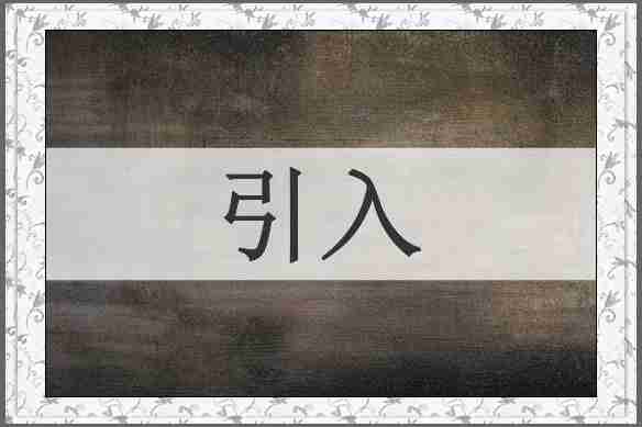 引入