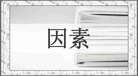 因素