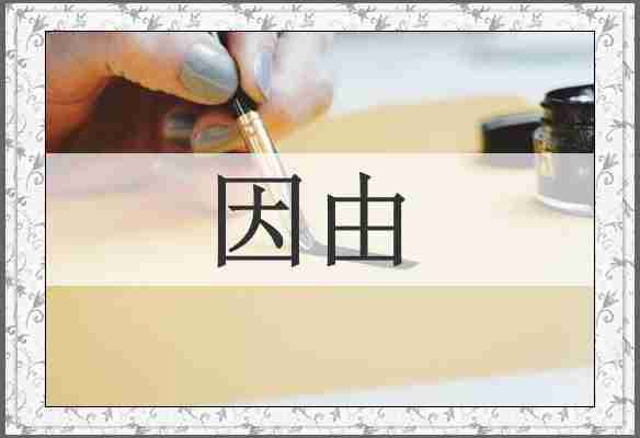 因由