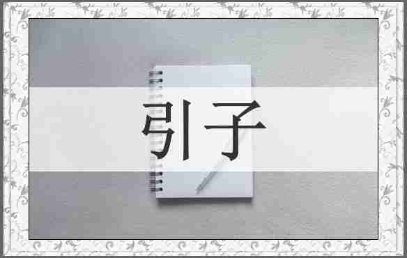 引子