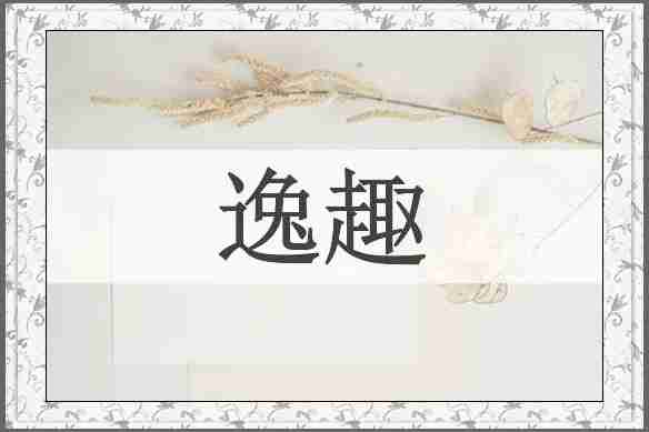逸趣