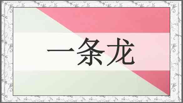 一条龙