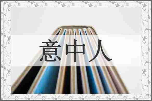 意中人