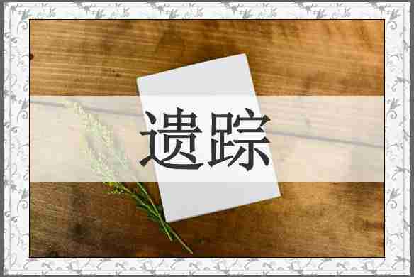 遗踪