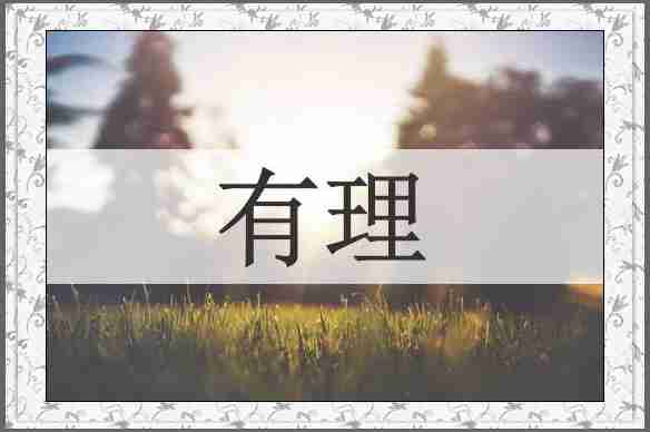 有理