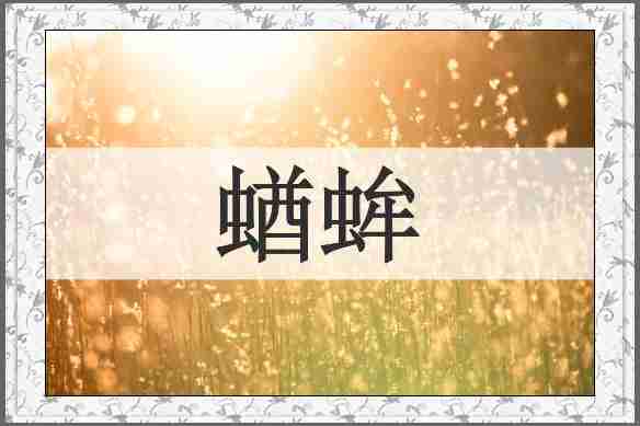 蝤蛑