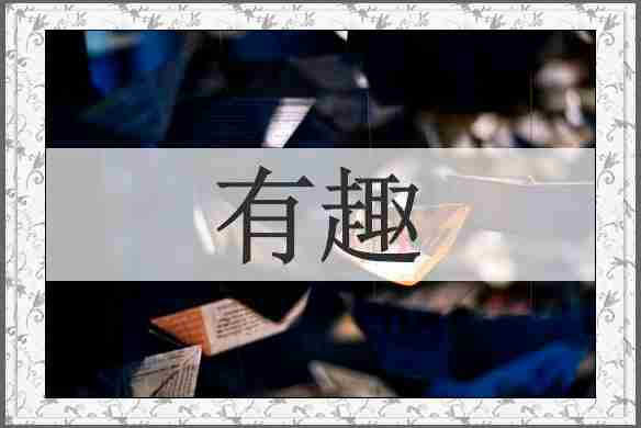 有趣