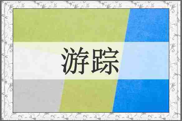 游踪