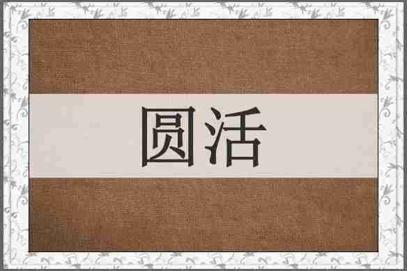圆活