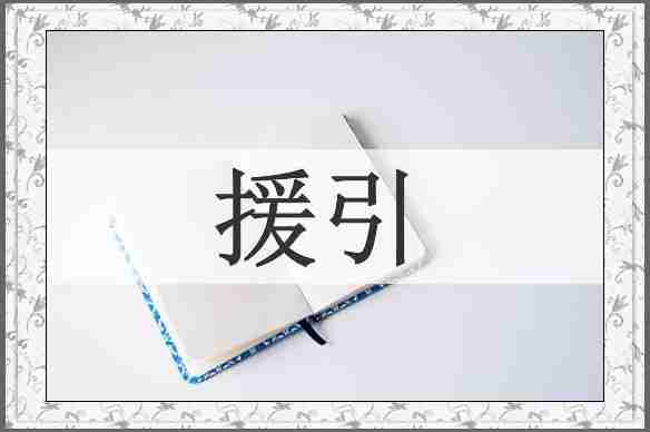 援引