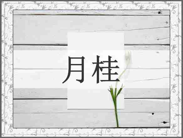 月桂