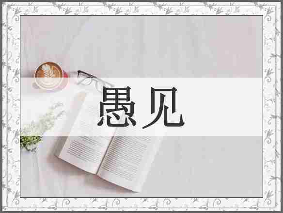 愚见