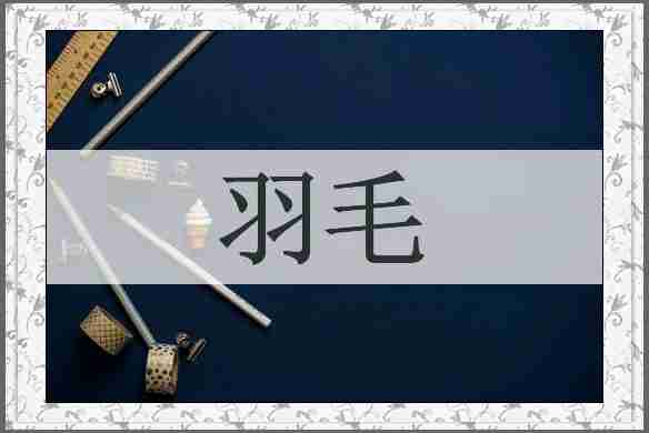 羽毛