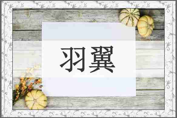 羽翼