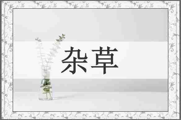 杂草