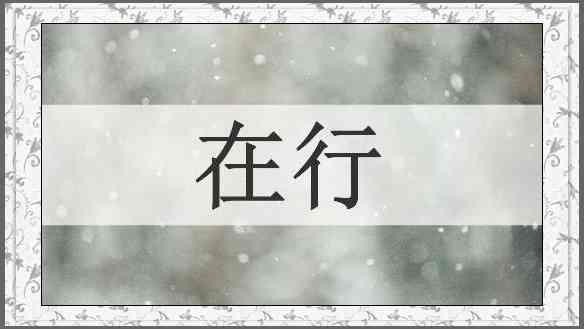 在行