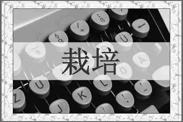 栽培