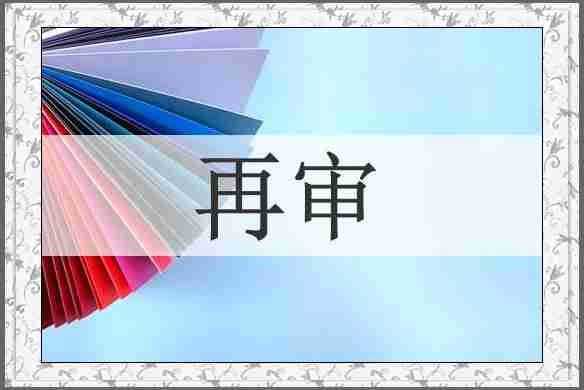 再审